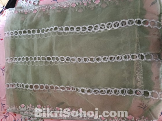 Pakistani organza dress